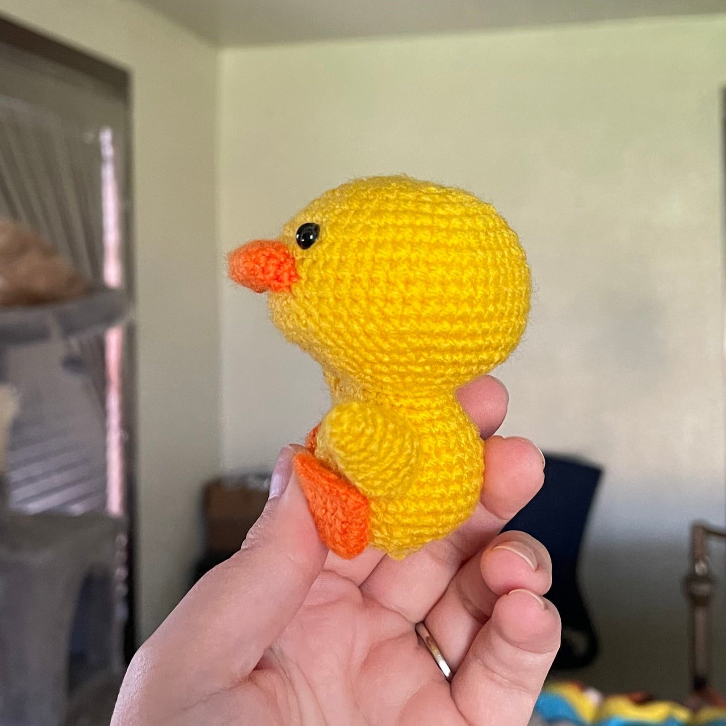 Duck