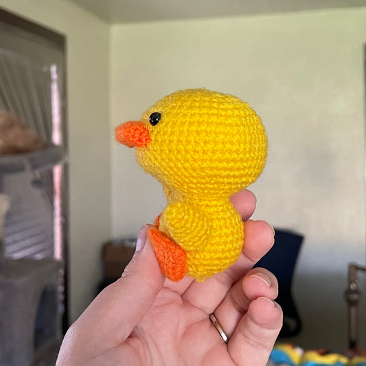 Duck