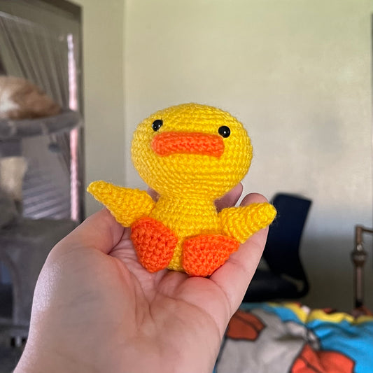 Duck